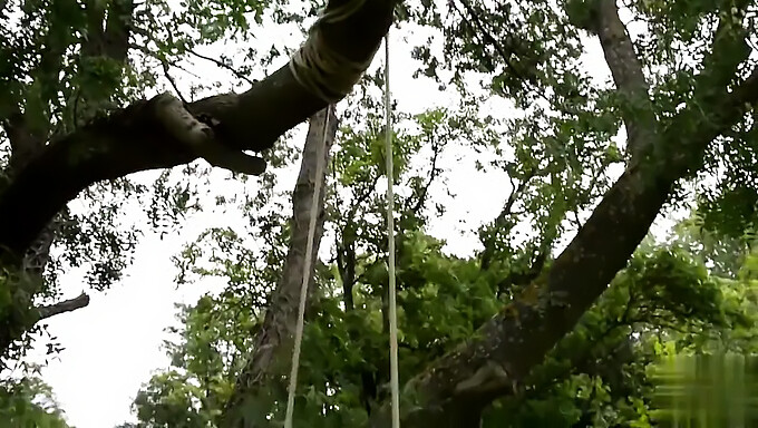 Luna Amor I Jej Przyjaciółki Igrają W Ogrodzie.