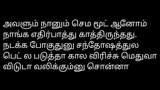 Audio De Historia De Sexo Tamil: Mi Novia Y Yo Enamorados