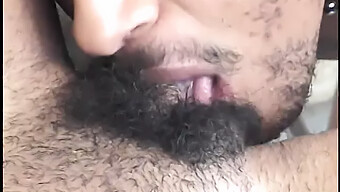 Cumshot Au...